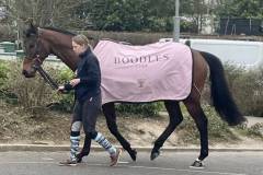 Cromwell-Gold-Cup-3